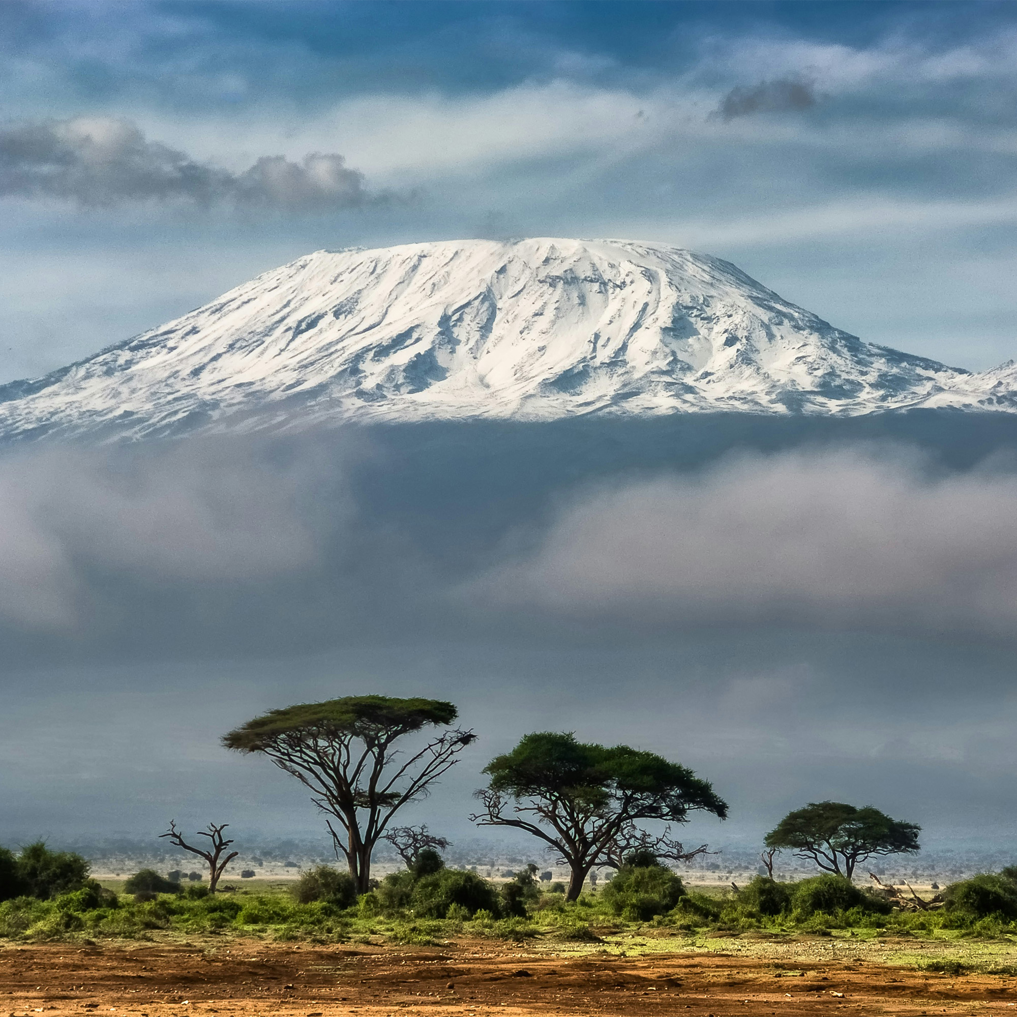 amboseli national park with a view of a mountain