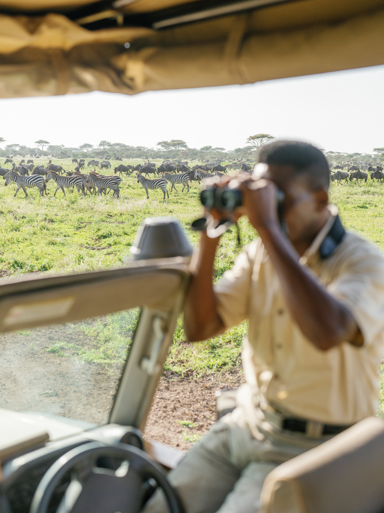 a person viewing wildlife