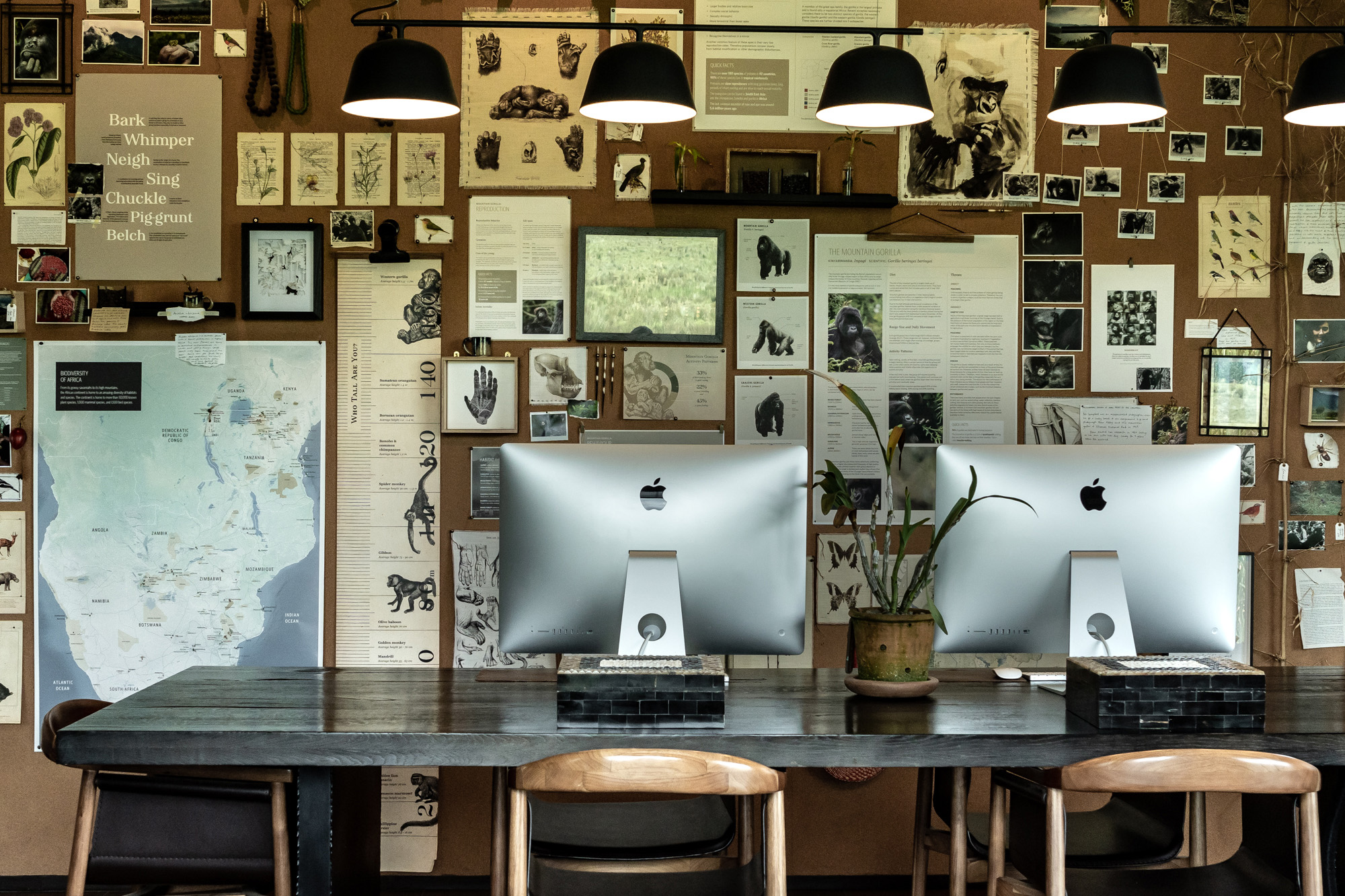 a conservation room